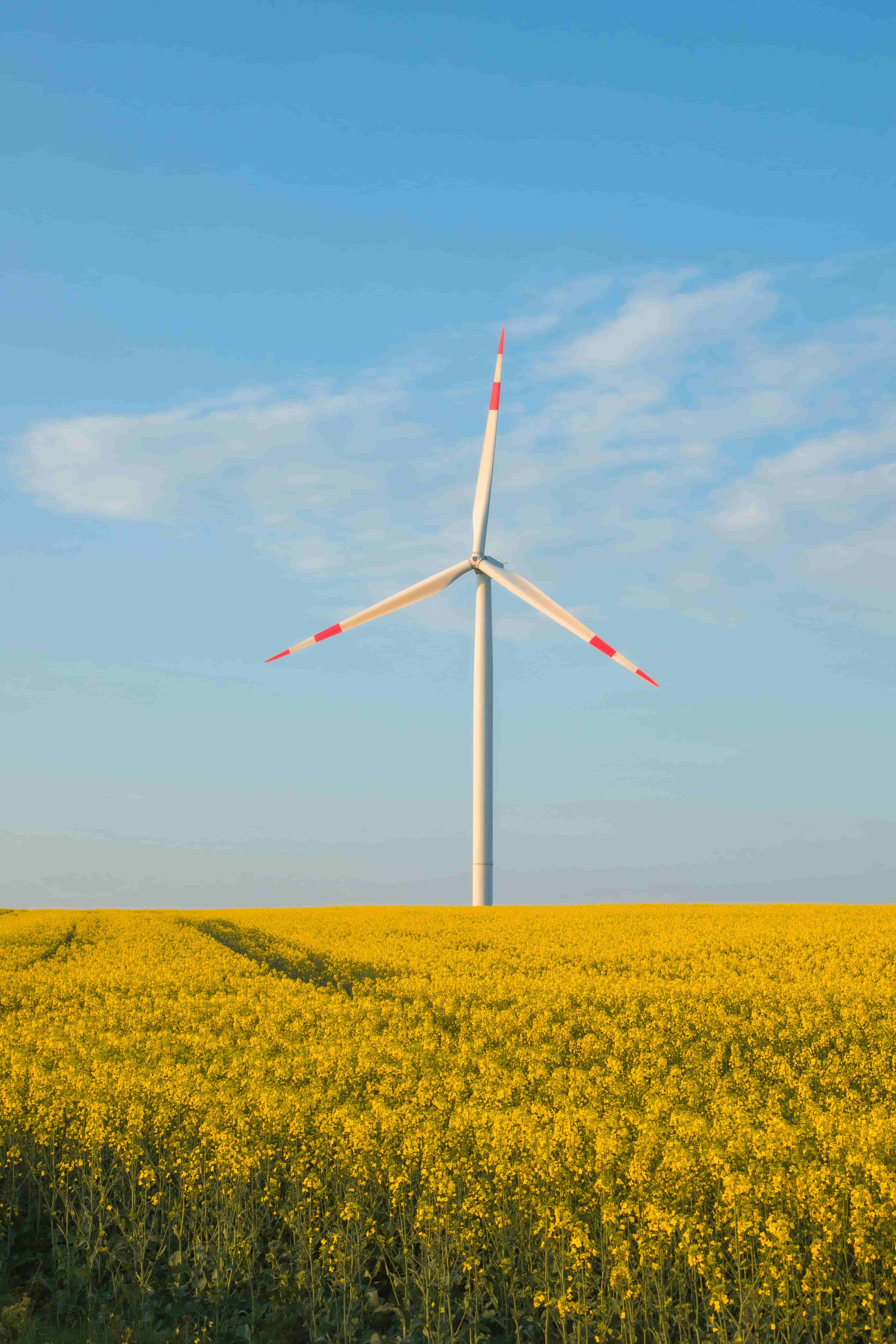 windpower - Before